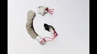 Stop Motion Collage