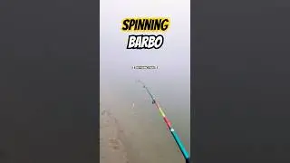 🌫️ &ldquo;La Nebbia e il Mulinello che non usavo&rdquo; 🎣