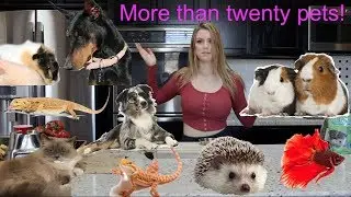 FEEDING ALL MY PETS
