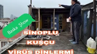 BASKA KUŞU YAGMUR KAR ÇAMUR DİNLEMEZ