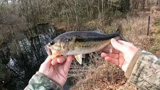 Another COLD WATER BASS!