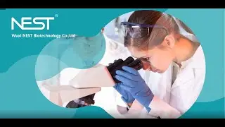 Profile of NEST Biotech