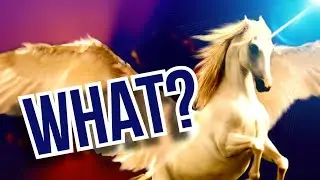 what do unicorns look like?
