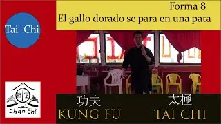 El gallo dorado (forma 8) #taichi