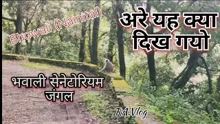 sanatorium to Bhowali from. forestry area 🤣Bhowali Nainital vlog #10 #uttrakhand #nainital (RA.Vlog)