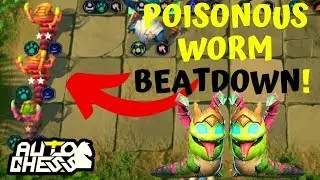 POISONOUS WORM + REFRESHER = PERFECT GAME | BEAST WARRIOR | AUTO CHESS MOBILE