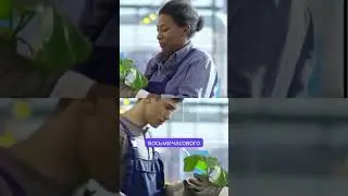 Ценности в работе  защита и предсказуемость для пенсионеров в Германии 2025