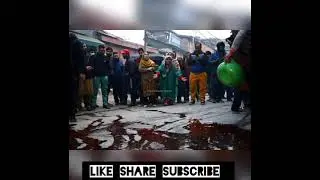 Bleeding kashmir