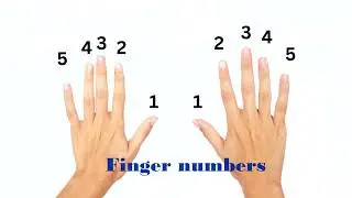 Piano Finger Sight-reading practice with fun