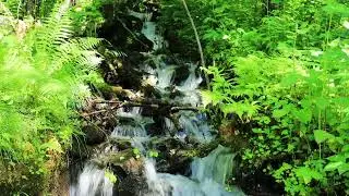 Experience Fosser&aring;sa Hike, Geiranger, National Scenic Hikes/ Opplev fosser&aring;sa, nasjonal turiststi.