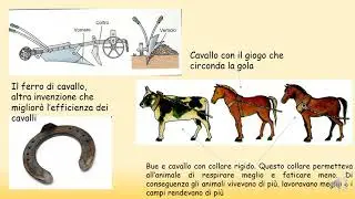 La rinascita dell'anno mille