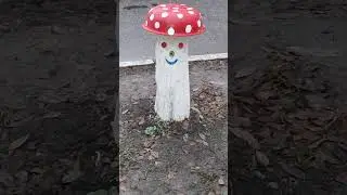 Cute Mushroom Near the Road #shorts