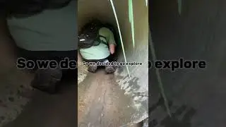 Huge spiders in drainage pipe 😳 #urbex #underground #cave #scary