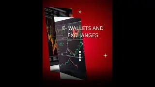 LESSON 4 : Crypto Exchanges vs Wallets (Where Your Crypto Is Stored)