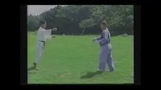 本部御殿手　上原先生の突きと蹴り
