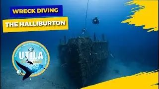 EXPLORING THE HALLIBURTON WRECK | PADI WRECK DIVING | UTILA DIVE CENTER