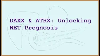 Molecular Genetics in Neuroendocrine Tumours: DAXX, ATRX, MEN1, and ctDNA Explained