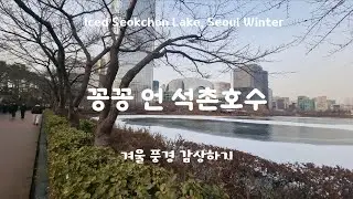 얼음 언 석촌호수 겨울풍경 감상해요  🎶 서울 겨울 힐링 산책 ASMR