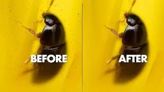 How to Clean Sensor Dust in Lightroom – All Photos in One Go!