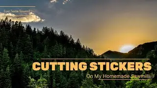 Cutting Wood Stickers Like a Pro: A Guide to Homemade Sawmill Operations.