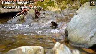 Relaxing Water Sounds | Nature&rsquo;s  Healing Frequency | Release Negative Energy | Whole Body Healing