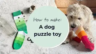 How to make a dog puzzle toy