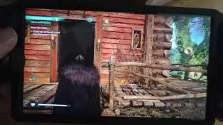 Assassin's Creed Valhalla 