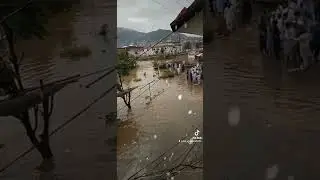 Mingora chena bazar