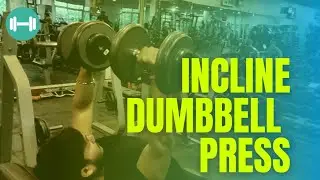 How To Do The INCLINE DUMBBELL PRESS  #Inclinedumbbell #Workoutseries