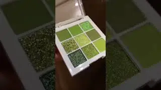 Pigmented Eyeshadow Palette #eyeshadow #greeneyemakeuplook #eyeshadowpalette #greeneyeshadow
