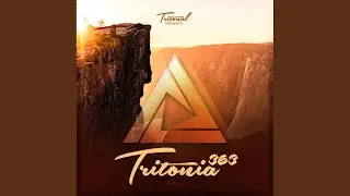 No Parallels (Tritonia 363)