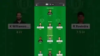 NZ vs PNG best T20 guarantee winning