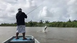 Pesca de Sábalos en Nicaragua... Enorme Pez