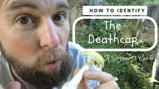 How To Identify The Deathcap: A Beginner's Guide