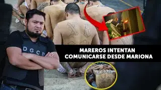 🚨 Mareros intentan comunicarse desde Mariona 📵🔒