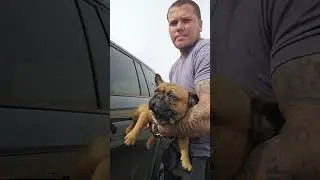 Grocery shopping with zeke 