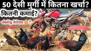 50 desi murgi palan ki sampurn jankari | desi murgi farm