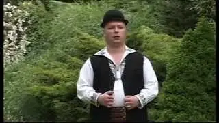 Adi Mircea - Tinerete trecatoare 2014