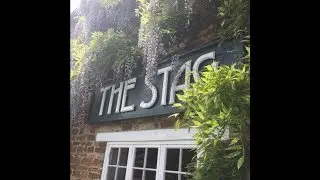 The Stag