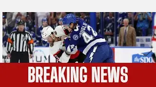 Chicago Cubs 2025 Season Recap | 30&ndash;30 Crow-Armstrong & Playoff Heartbreak ✅। USA NEWS TODAY