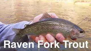 Trout Fishing Cherokee's Raven Fork