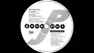 Blue Amazon ─ No Other Love [WIN006] (1996)