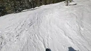 Vail CO, Mar.10,2024, Grand Review intermediate run thru trees