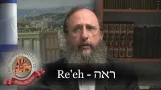 Недельная глава Торы: Реэ