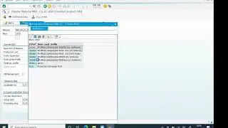 SAP Production Planning ; Introduction to SAP PP Material, SAP Production Planning