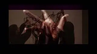 Memory tree &mdash;&mdash; Yuan Lu