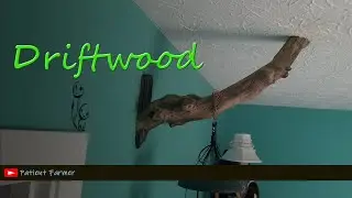 Driftwood Accents