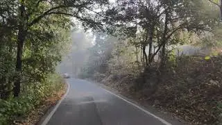 Tansa Wildlife Sanctuary: A slice of heaven near Mumbai