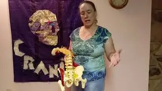 Tip of the Day-PSOAS Self care helps Low Back Pain