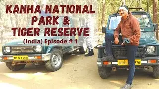 Kanha Tiger Reserve in India : Epi#1 (English) | National Park Safari | How to read jungle?